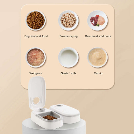 TAILTRAIL Smart Automatic Pet Feeder with Timer Bowl