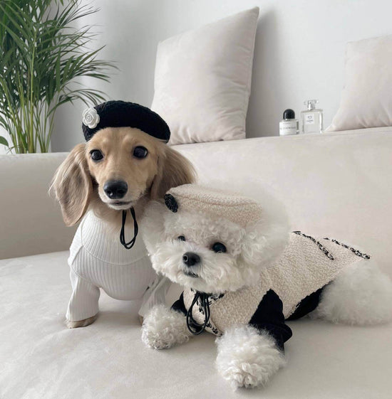 TAILTRAIL Pet Dog Cat Knitted Hat Winter Warm Accessories