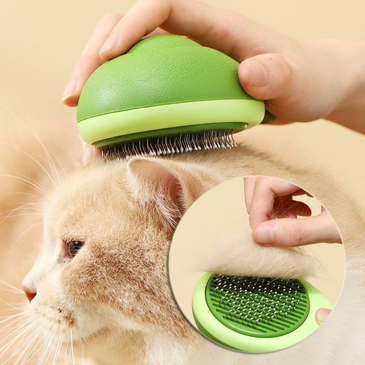 TAILTRAIL Grooming & Care Essentials for Happy Pets