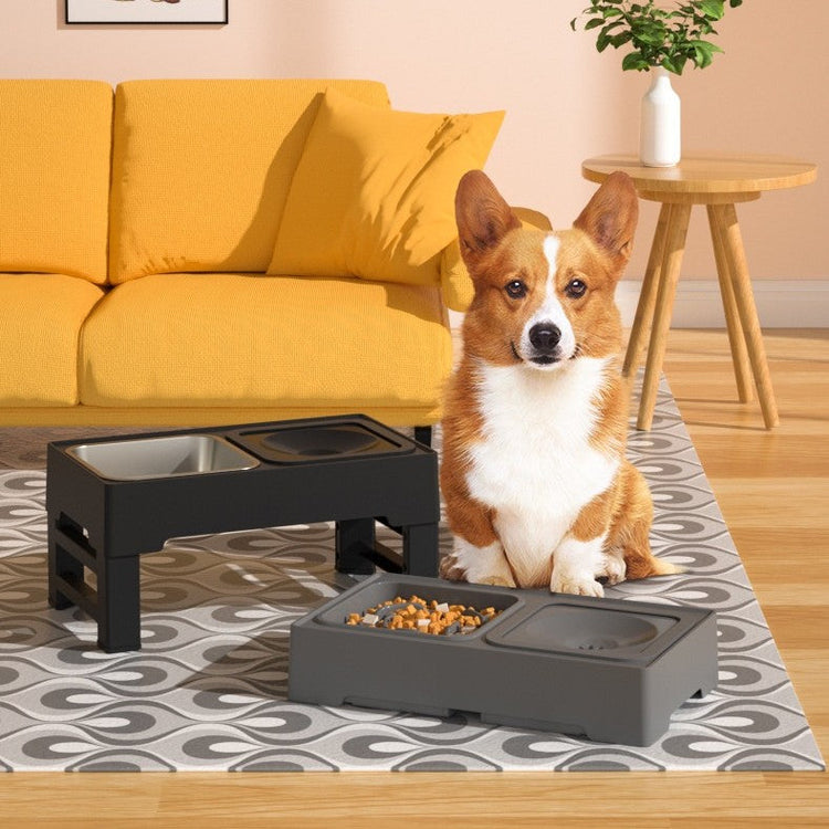 TAILTRAIL: Essential Feeding & Home Comforts for Pets