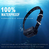 100% waterproof submersible shock collar for dogs, designed for safety with TAILTRAIL technology.