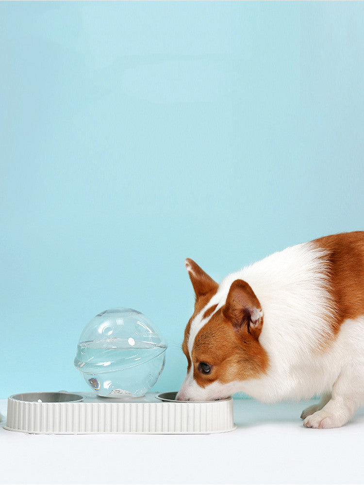 TAILTRAIL Automatic Pet Water and Food Feeder Bowl Set