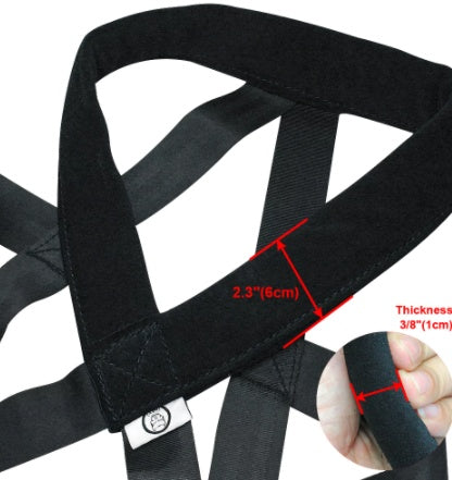 TAILTRAIL Dog Training Leash and Chest Harness Set
