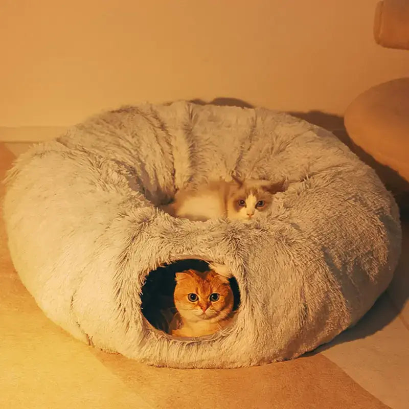 Two cats relaxing inside a cozy TAILTRAIL 2-in-1 round tunnel cat bed.