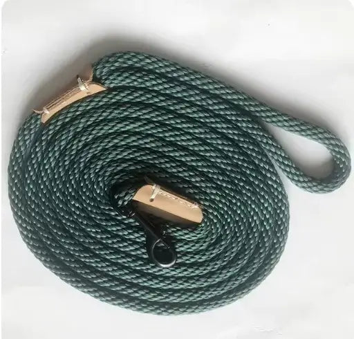 TAILTRAIL Adjustable Lead Leash coiled and ready for easy dog walking adventures.