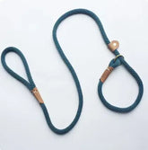 Adjustable TAILTRAIL lead leash in teal color designed for comfort and control for dogs of all sizes.