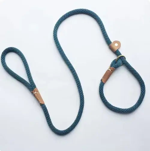 Adjustable TAILTRAIL lead leash in teal color designed for comfort and control for dogs of all sizes.