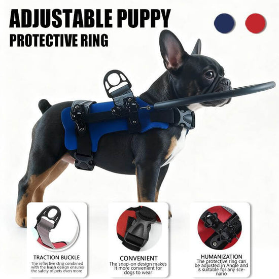 TAILTRAIL Anti-Collision Collar and Leash for Blind Pets
