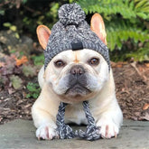 French Bulldog wearing a stylish hat, showcasing the Canine Cap Companion and TAILTRAIL for outdoor adventures.