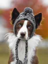 Dog wearing stylish grey cap from TAILTRAIL, perfect for outdoor adventures in vibrant fall scenery.