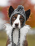 Dog wearing stylish grey cap from TAILTRAIL, perfect for outdoor adventures in vibrant fall scenery.