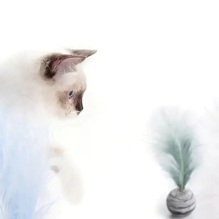 Cat engaging with TAILTRAIL feather ball toy, promoting playful and healthy activity.