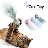 Cat playing with TAILTRAIL feather ball toy, engaging in fun activities to promote health.