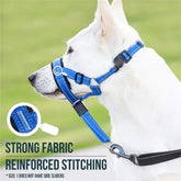 Training Collar for dogs featuring strong fabric and reinforced stitching from TAILTRAIL for leash training.