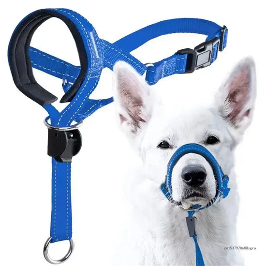 Blue TAILTRAIL dog halter head collar for effective leash training and comfort during walks.