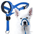 Blue TAILTRAIL dog halter head collar for effective leash training and comfort during walks.