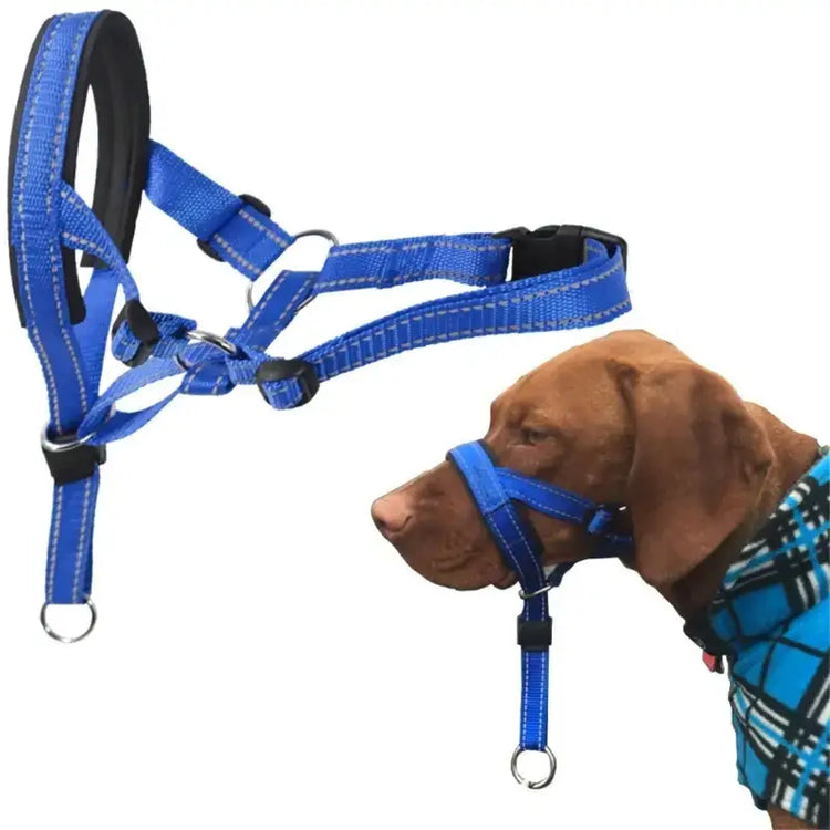 Training Collar by TAILTRAIL, featuring a comfortable blue halter for effective leash training.