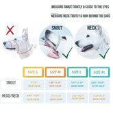 Measuring guide for TAILTRAIL head collar fitting, showing snout and neck size instructions for dog training.
