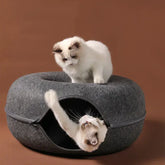 Two playful cats exploring a TAILTRAIL donut cat bed, featuring a cozy and interactive design.