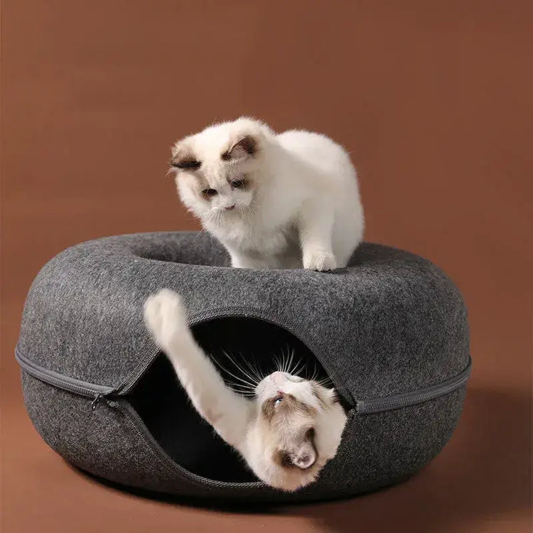 Two playful cats exploring a TAILTRAIL donut cat bed, featuring a cozy and interactive design.