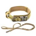 Durable TAILTRAIL dog collar with a comfortable fit and adjustable design, perfect for all dog sizes.