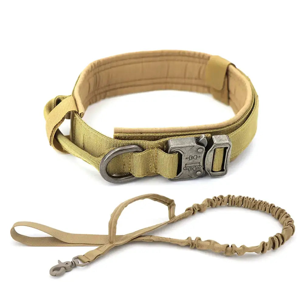 Durable TAILTRAIL dog collar with a comfortable fit and adjustable design, perfect for all dog sizes.