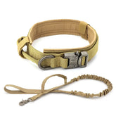 Durable TAILTRAIL dog collar with a comfortable fit and adjustable design, perfect for all dog sizes.