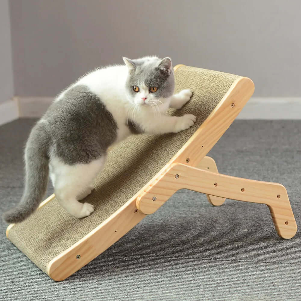 Cat using TAILTRAIL durable scratch board for healthy scratching and furniture protection