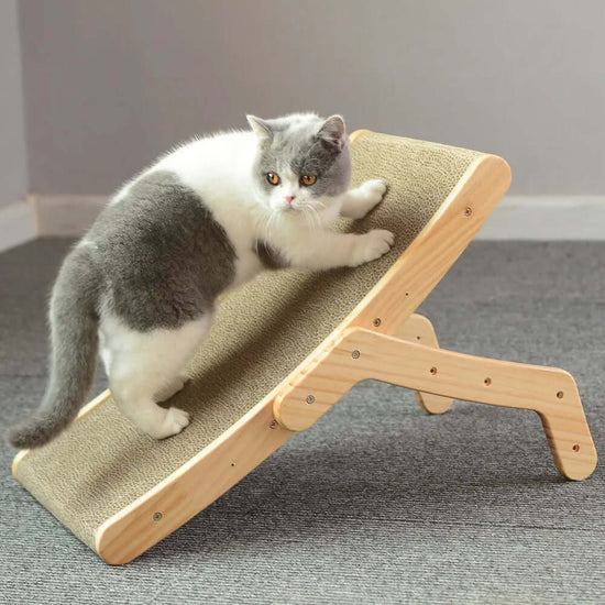 Cat using TAILTRAIL durable scratch board for healthy scratching and furniture protection