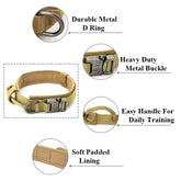 TAILTRAIL dog collar features durable metal D-ring, heavy duty buckle, easy handle, and soft padded lining.