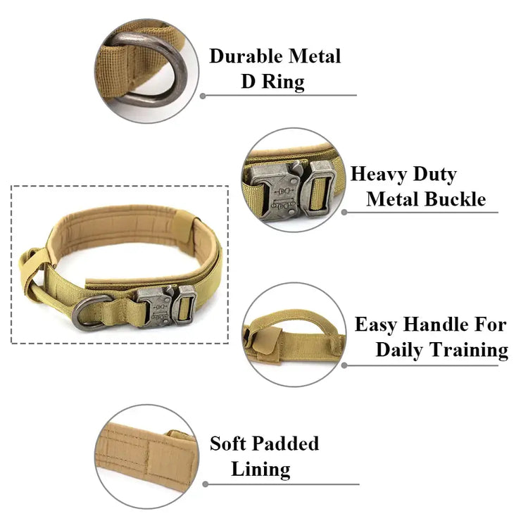 TAILTRAIL dog collar features durable metal D-ring, heavy duty buckle, easy handle, and soft padded lining.