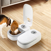 TAILTRAIL Smart Automatic Pet Feeder with Timer Bowl