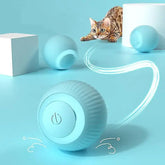 Interactive blue TAILTRAIL rolling ball for pets, bouncing and moving to engage playful cats.