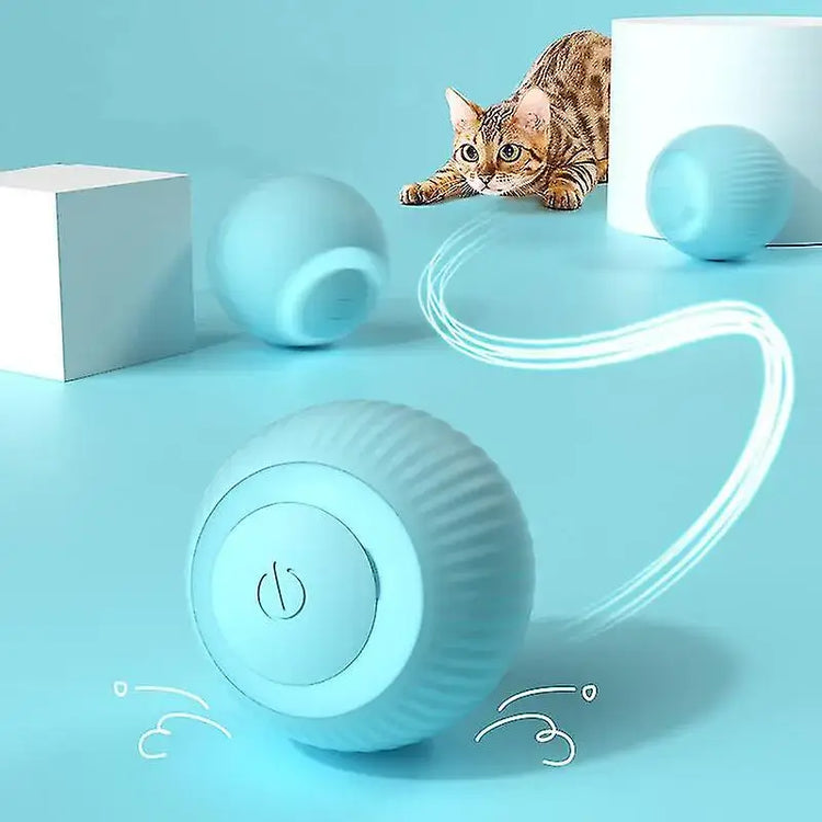 Interactive blue TAILTRAIL rolling ball for pets, bouncing and moving to engage playful cats.