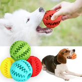 A dog playing with TAILTRAIL interactive rubber balls, showcasing vibrant colors and engaging fetch activities.