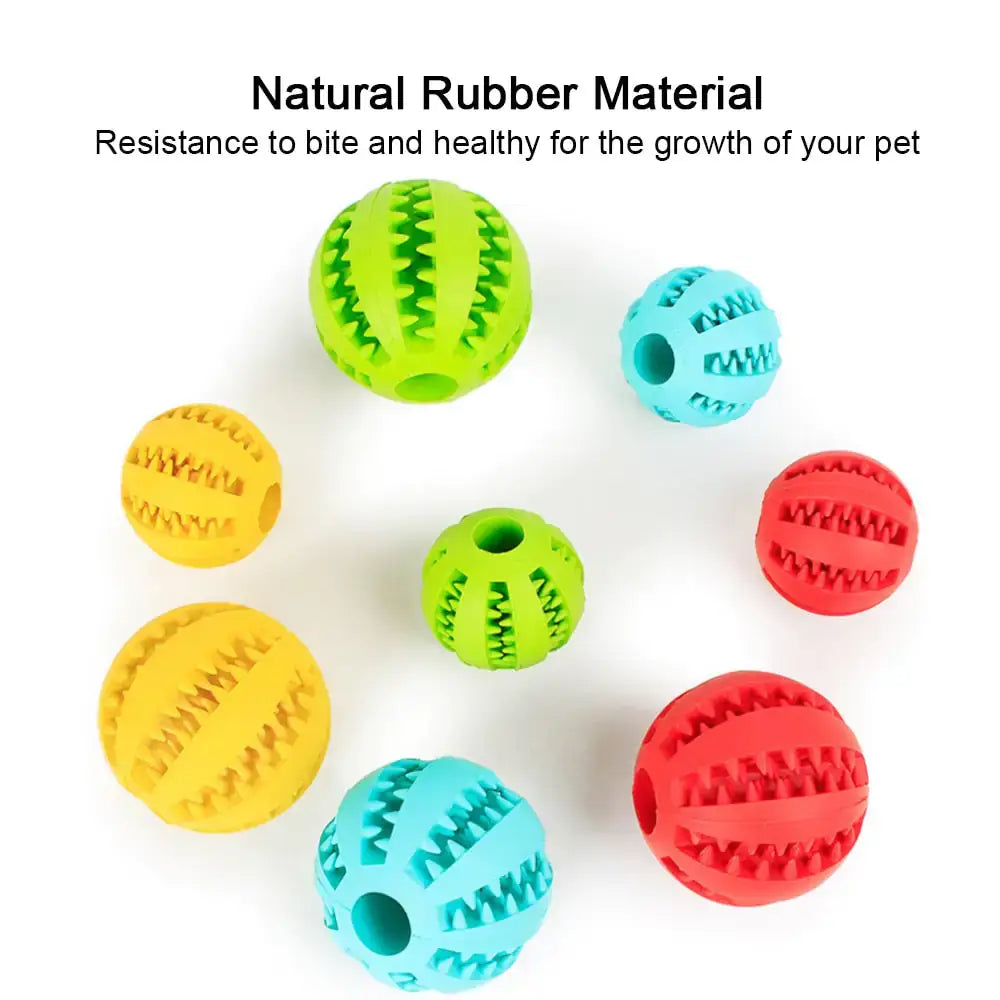 TAILTRAIL interactive toy balls made of natural rubber material for pets, promoting healthy growth and resistance to bites.