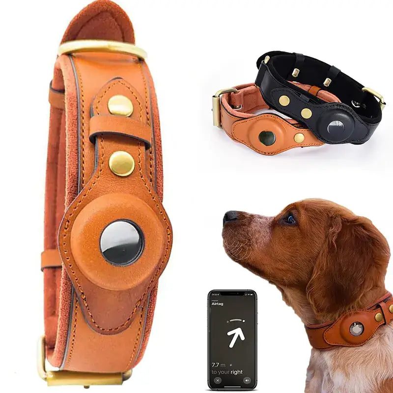 TAILTRAIL Leather Anti-Lost Dog Collar in brown and black on dogs, featuring a secure buckle and contact tag.