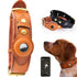 TAILTRAIL Leather Anti-Lost Dog Collar in brown and black on dogs, featuring a secure buckle and contact tag.