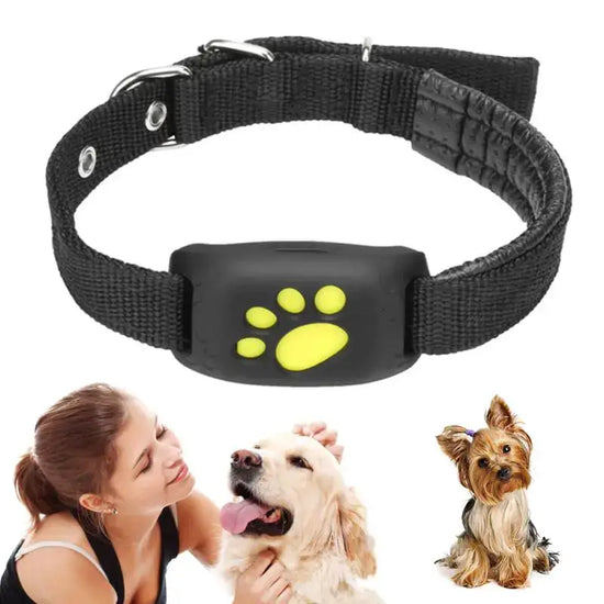 TAILTRAIL Pet GPS tracker collar with waterproof design, ideal for keeping pets safe and monitored.