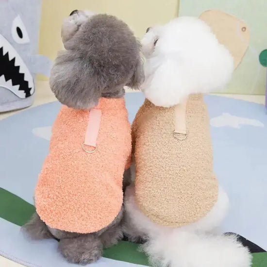 Two dogs wearing plush winter coats in orange and beige, perfect for warmth, showcasing TAILTRAIL brand.