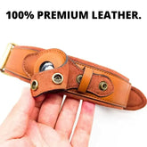 TAILTRAIL leather anti-lost dog collar showcasing 100% premium leather with secure buckle.