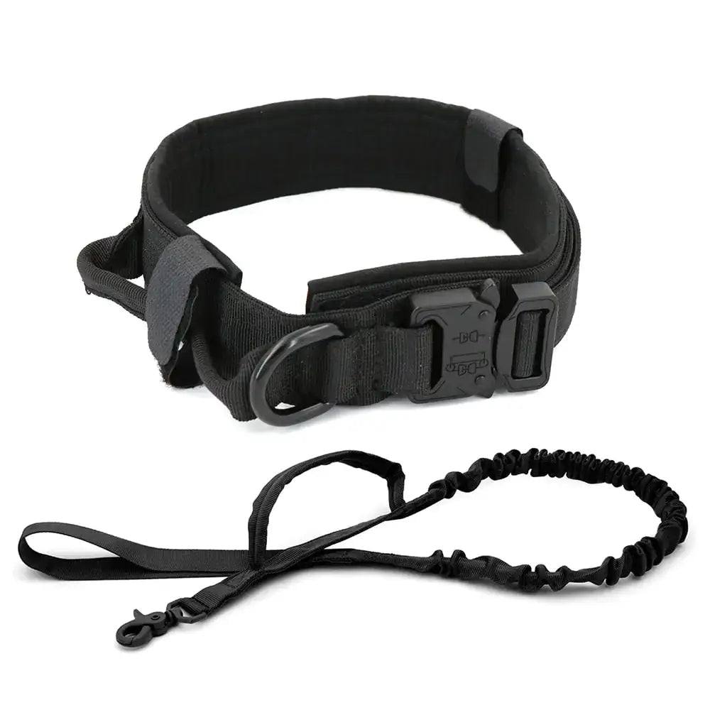 TAILTRAIL dog collar and leash set in black, stylish and durable design for ultimate canine comfort.