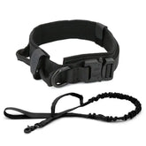 TAILTRAIL dog collar and leash set in black, stylish and durable design for ultimate canine comfort.