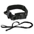 Stylish and durable TAILTRAIL dog collar with adjustable strap and matching leash, perfect for any canine.