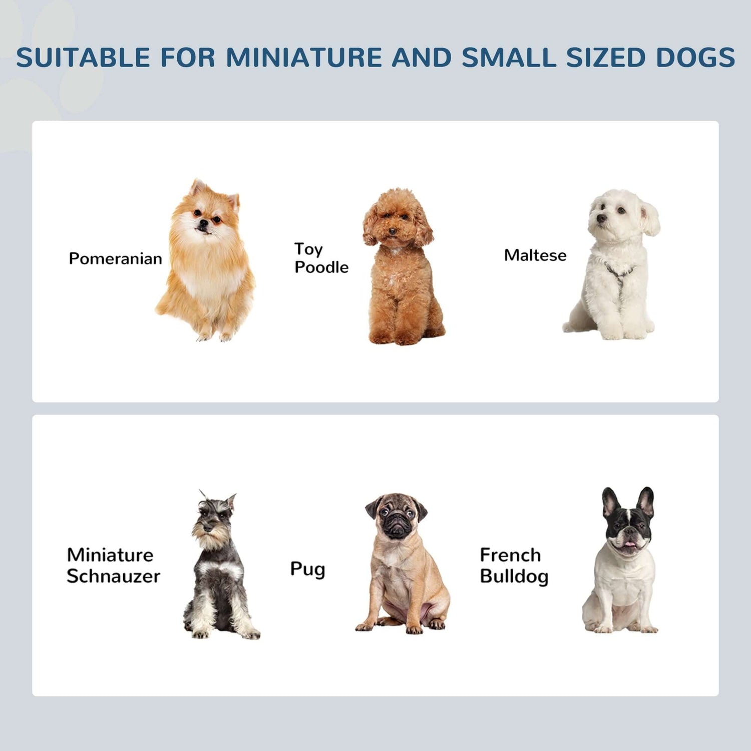 TAILTRAIL Elevated Puppy Feeding Station with Stainless Steel Bowls