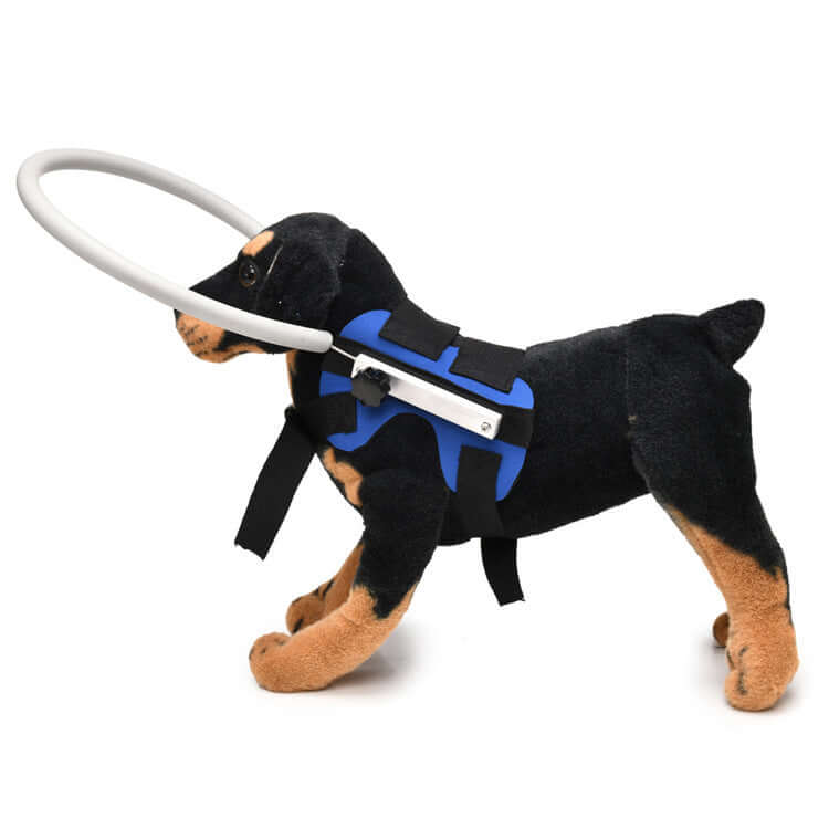 TAILTRAIL Anti-Collision Collar and Leash for Blind Pets