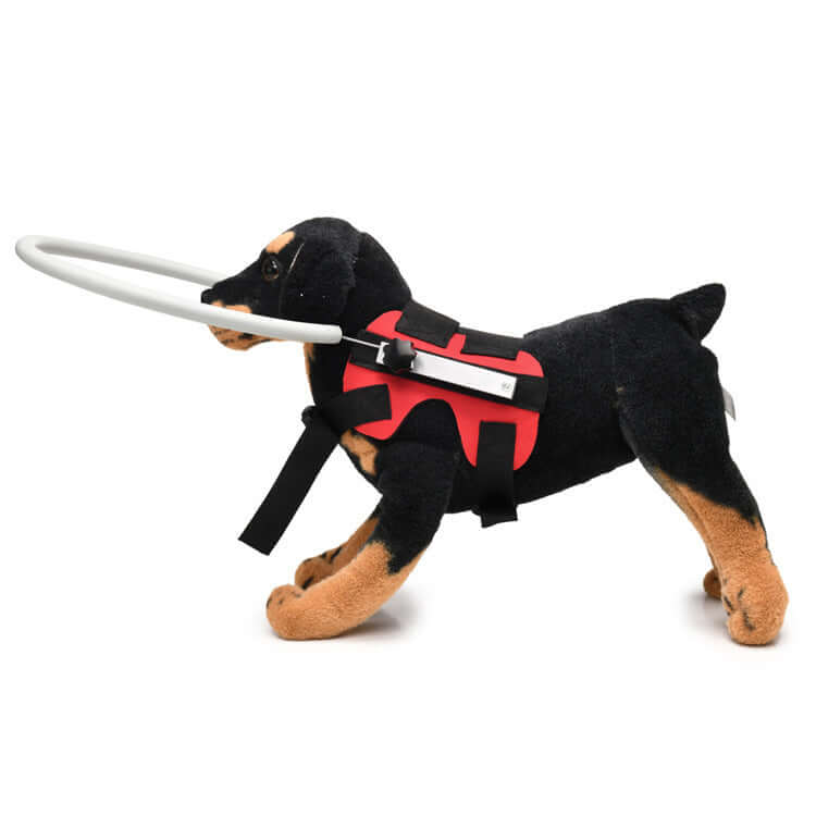 TAILTRAIL Anti-Collision Collar and Leash for Blind Pets
