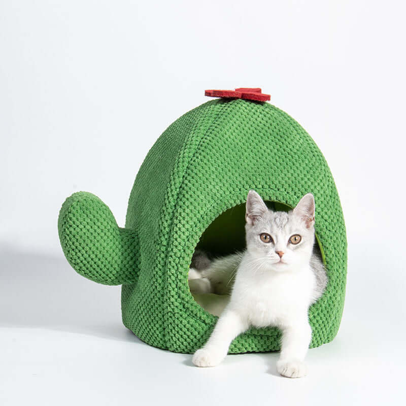 TAILTRAIL Cactus Cat Bed Warm Enclosed Pet Cave Nest