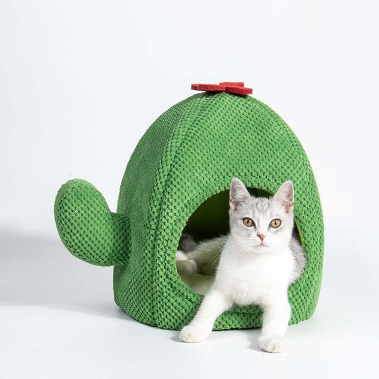 TAILTRAIL Cactus Cat Bed Warm Enclosed Pet Cave Nest