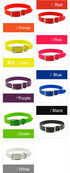 TAILTRAIL Dirt-Resistant Adjustable Dog Collar